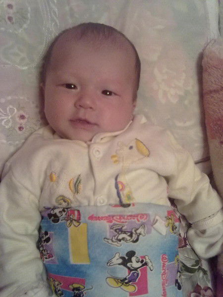 ******** {¤¤¤¤¤¤¤¤¤¤}