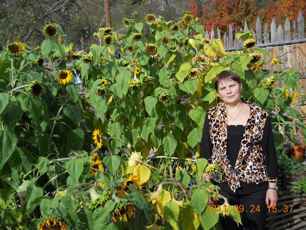 Надежда Жданова