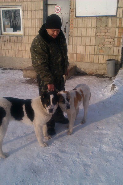 Алик Алканов