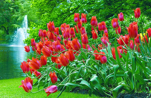 Гульдана 97 Айгерим 97