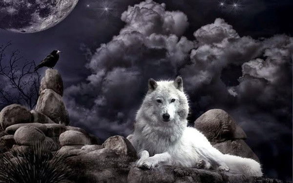 Геннадий Лапсаков