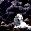 Геннадий Лапсаков