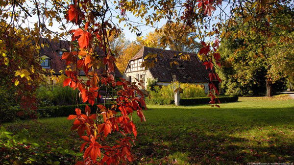 Ирина Карпенко