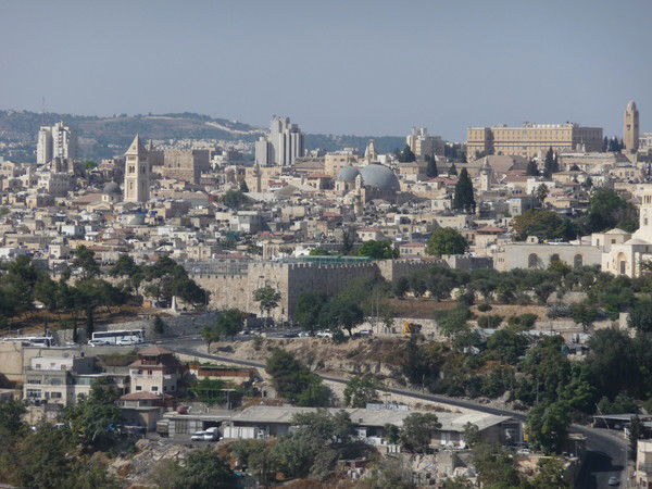 Анастасия Сиротинина