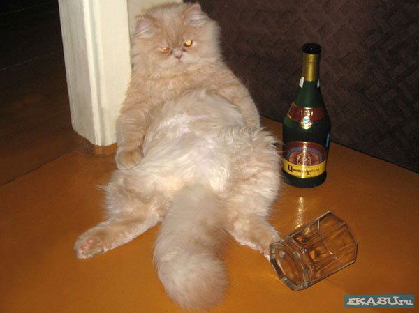 Алексей Баранов