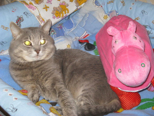 Зифа Мангушева