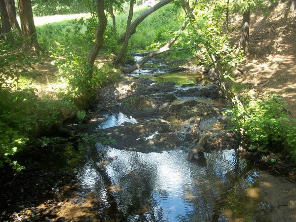 Ирина Владимировна