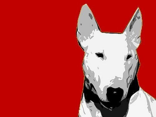 Ирина Шипшова