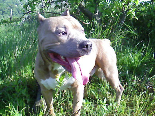 Вячеслав ...