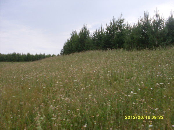 Гуля Девишева