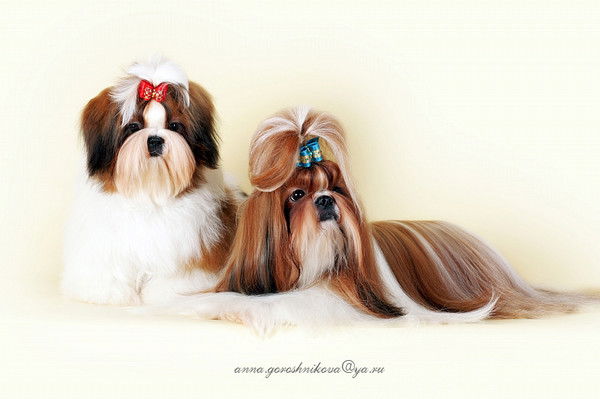 Екатерина Твардовская