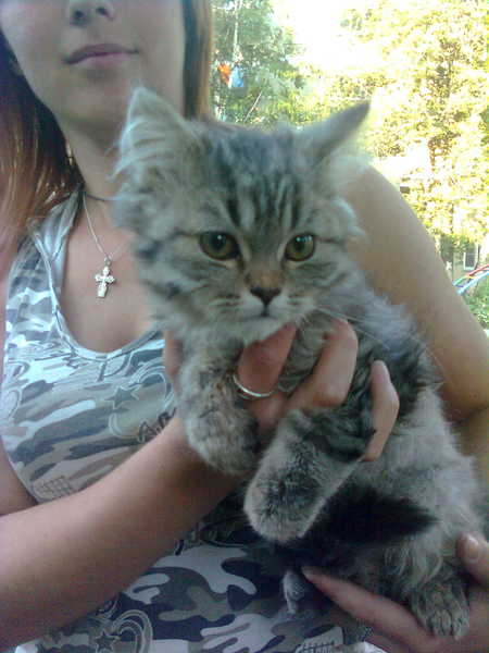 Екатерина Заварзина