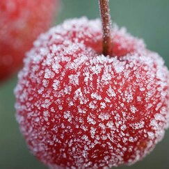 Салават Бабаев