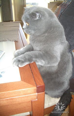 Борис Катаев