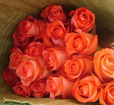 Яна Шкиндер