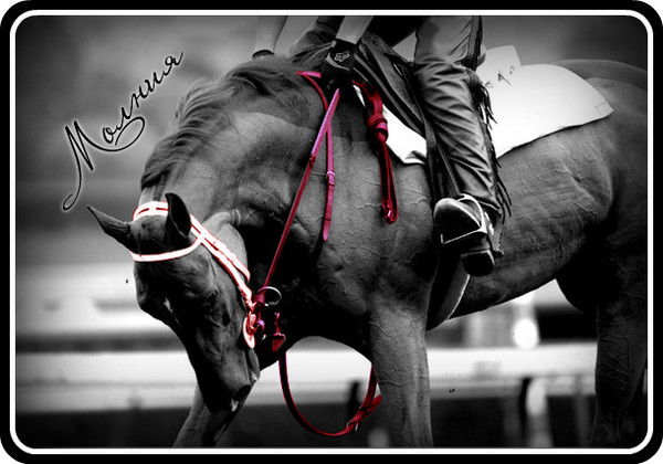 ~† Молния †~