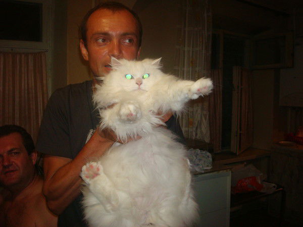 Игорь Шатилов