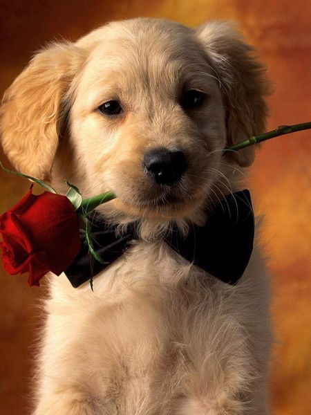 П@ш@ Мих@йлов