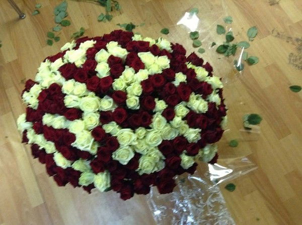 Марина Ловошина