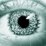 Дмитрий Минаенко