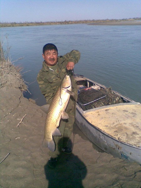 Юсуп Ибрагимов