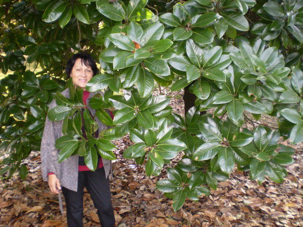 Вера Лаптева