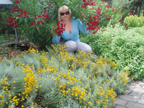 Елена Горбунова