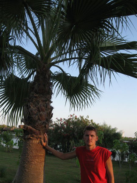 Алексей Ерохин