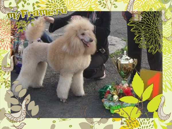 Светлана Степанова