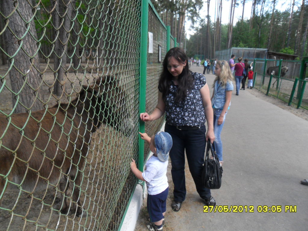 Оксана Тимохова