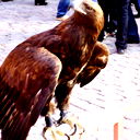 Александр Семенов