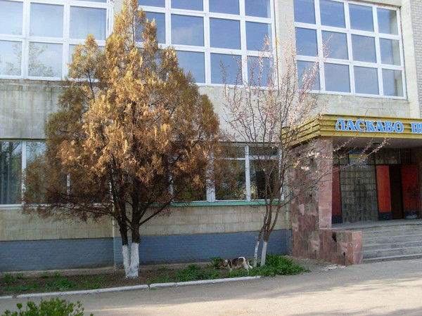 Чугуевский Лицей