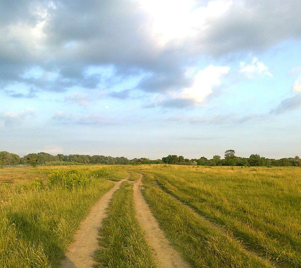 Ольга Семенцова