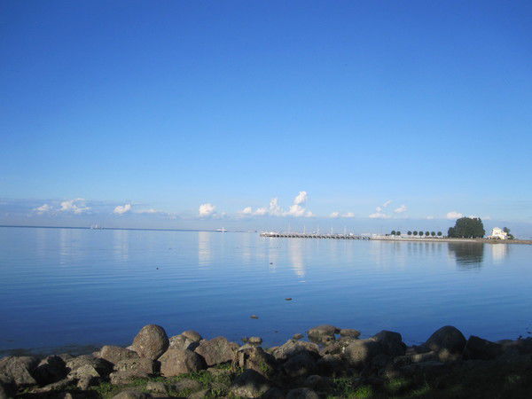 Елена Котова