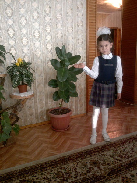 Дильяра Супиева