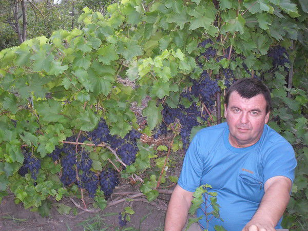 Фарид Турсунов