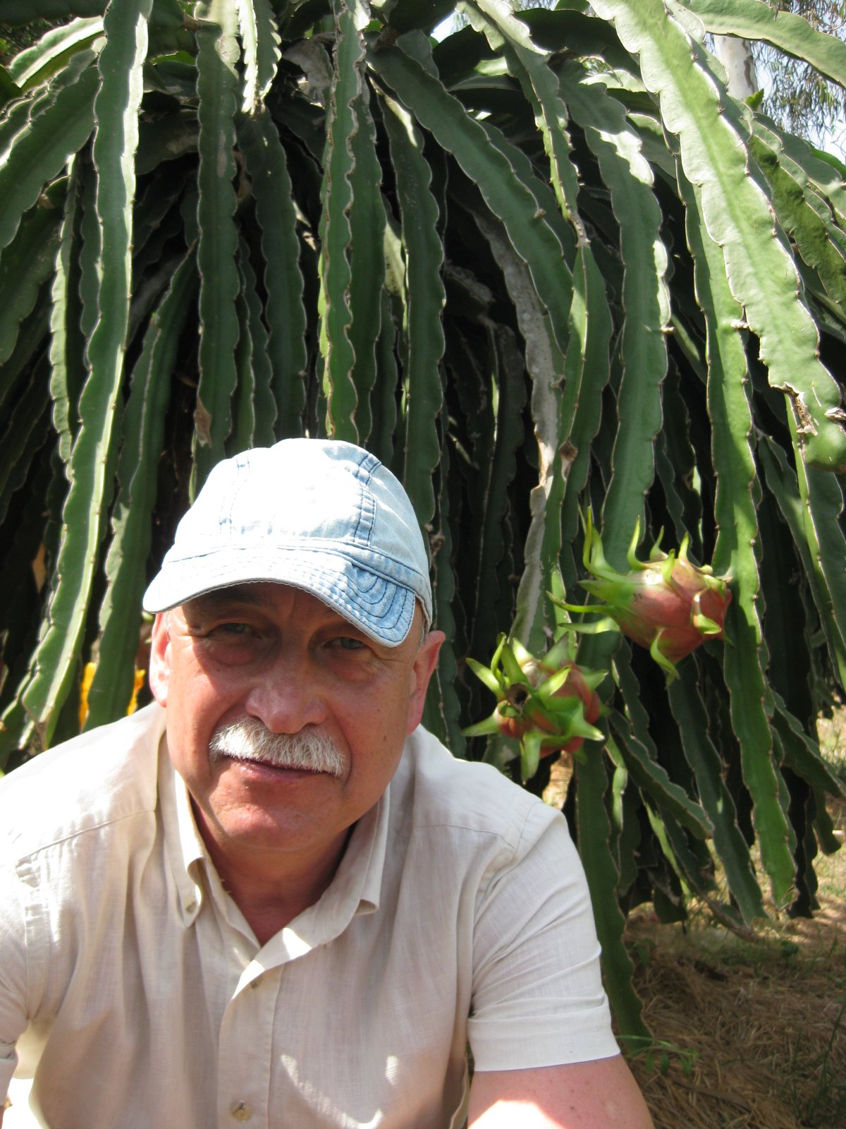 Юрий Дмитриев