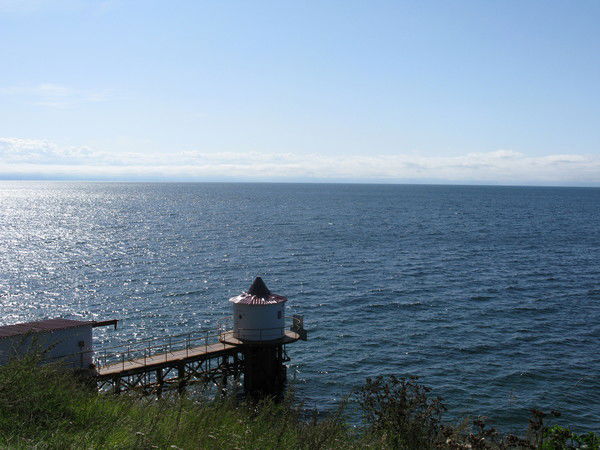 Андрей Красильников