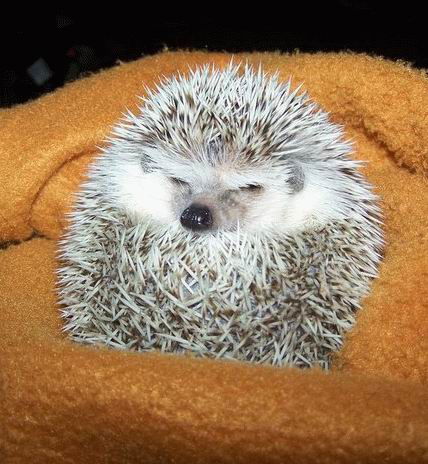 Наталья Александровна