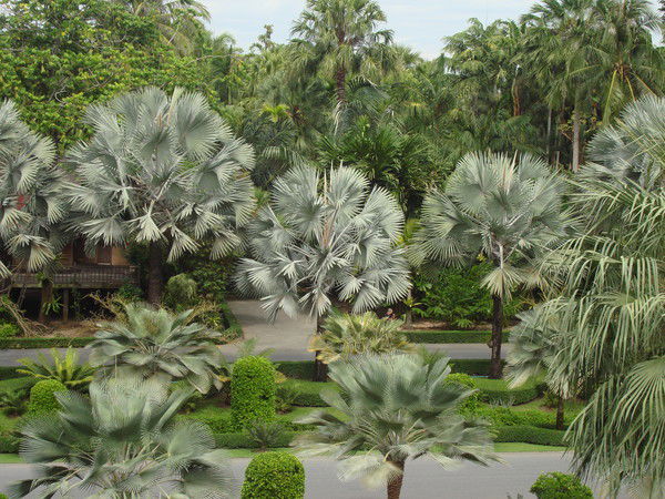 Наталья Жилина