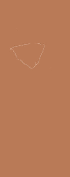 Жидкова Ирина