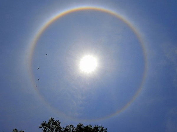 Людмила Досманова