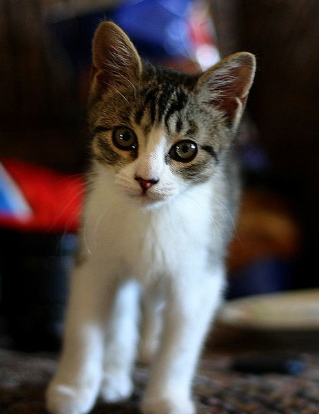 Людмила Доронькина