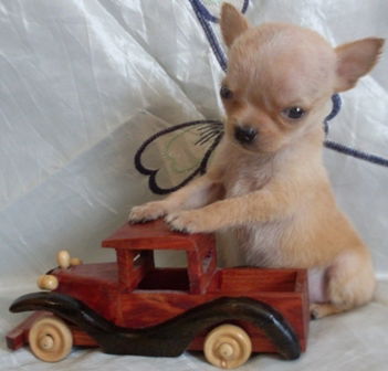 Наталия Андреева