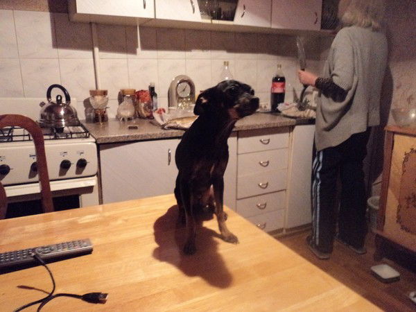 Доктор Ватсон