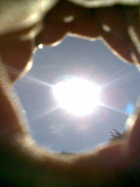 Вероника Шпуль