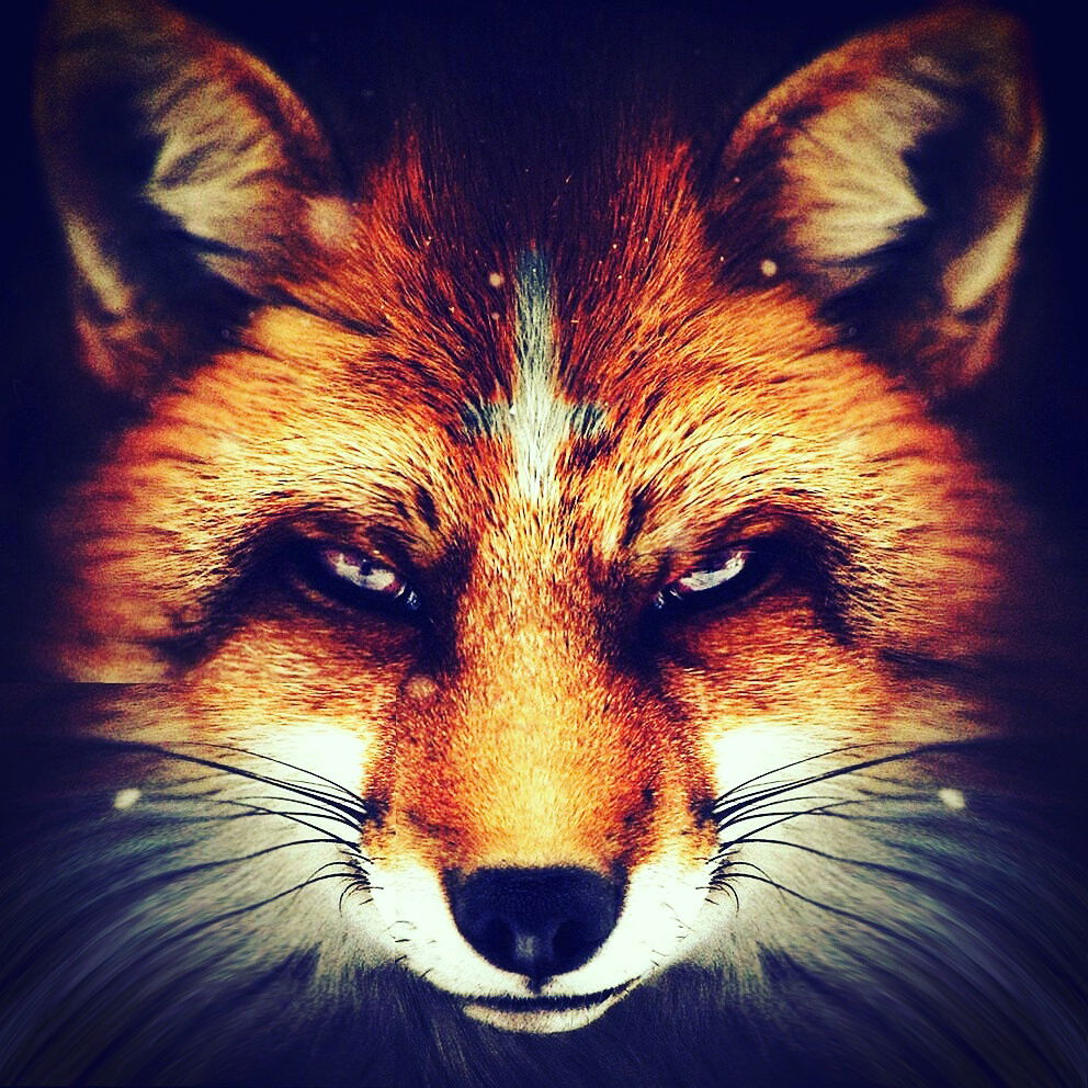 Женя Хохлов