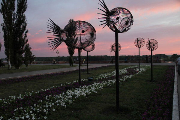 ***eldana*** ***nurlanovna***