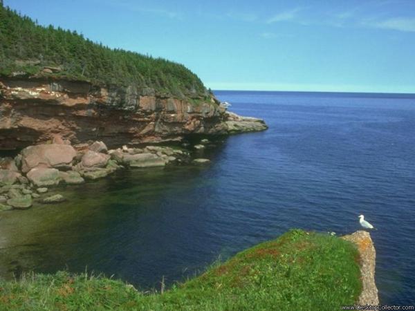 Бахыт Аркенова