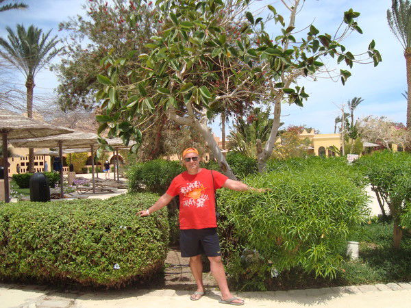 Олег Сулугунья